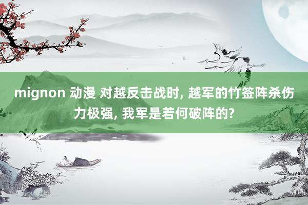 mignon 动漫 对越反击战时， 越军的竹签阵杀伤力极强， 我军是若何破阵的?