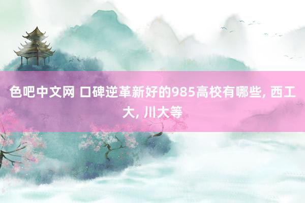 色吧中文网 口碑逆革新好的985高校有哪些, 西工大, 川大等
