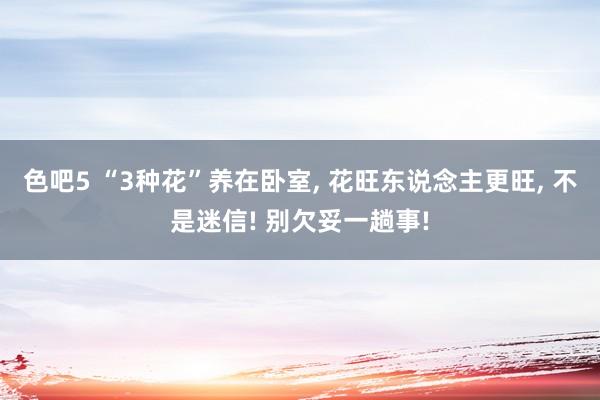 色吧5 “3种花”养在卧室, 花旺东说念主更旺, 不是迷信! 别欠妥一趟事!